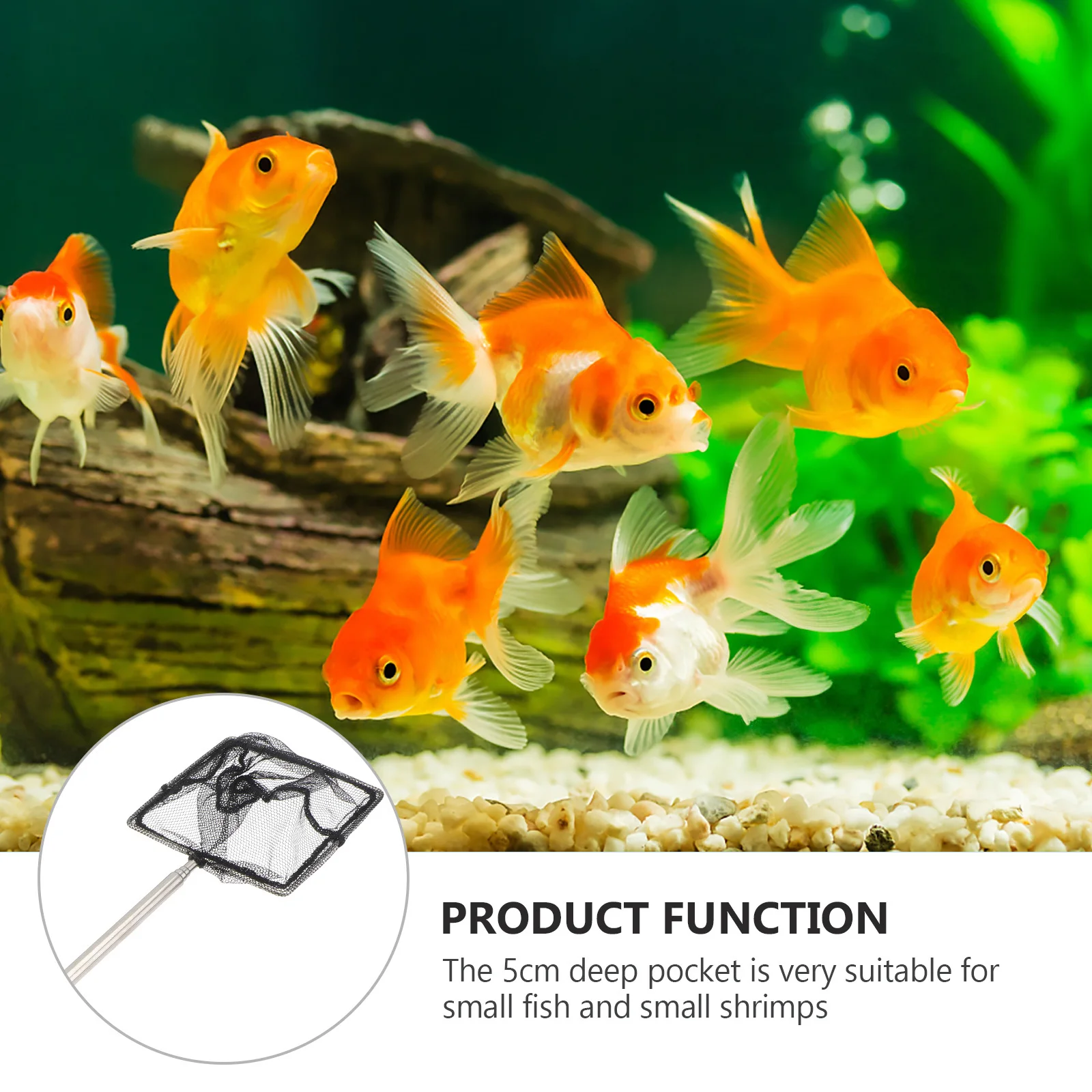 1Pcs Stainless Steel Telescopic Fishing Net Foldable Pole Anti-Sag Square Mesh Landing Net for River Lake Sea Boat Fish Tank