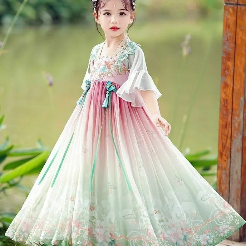 Tang Dynasty Children's Hanfu Ancient Little Princess Fairy Embroidered dress Set for girl