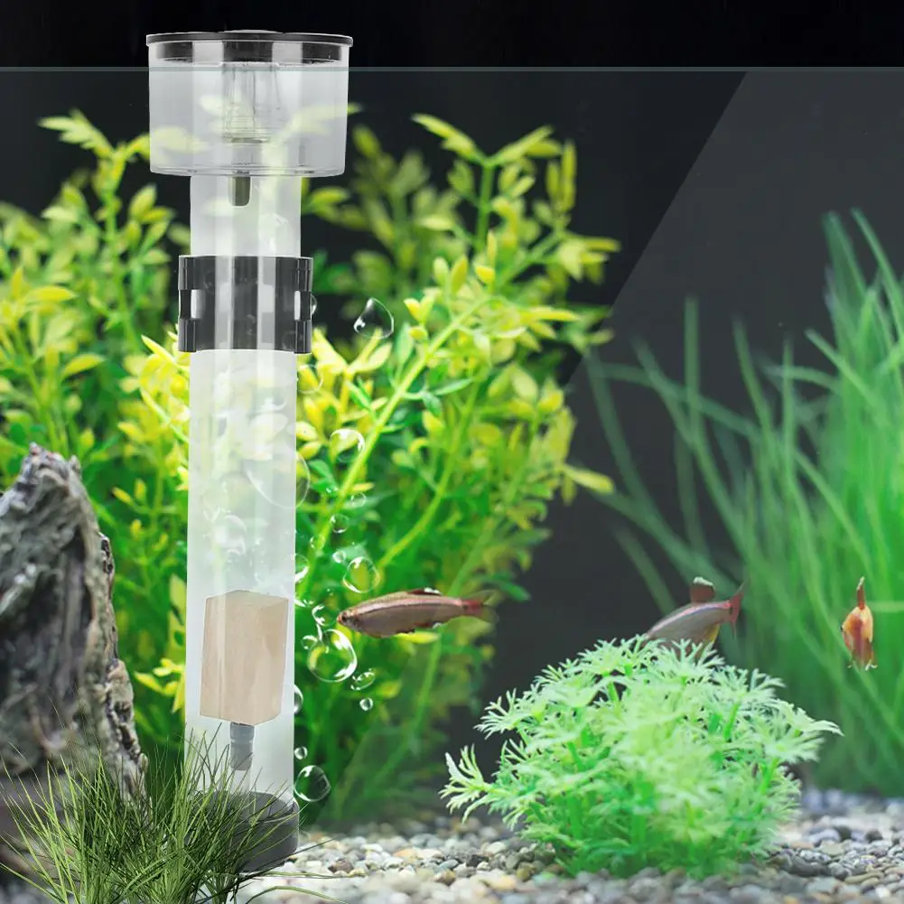 Acrylic for fish Tank Protein Skimmer Separator for fish Farming with IQ5 Accessory