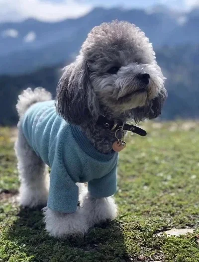 

4Pcs 85mm Tires Wheel Tyre for Wltoys 144001 124019 104001 RC Car Upgrade Parts 1/10 1/12 1/14 Scale Off Road Buggy