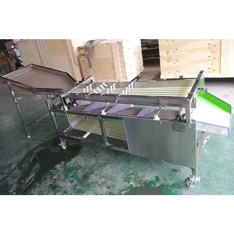 Fruit and Vegetable Sorter Cherry Date Size Grading Sorting Machine Passion Fruit Sorter Fruit Grading tomato sorting Machine