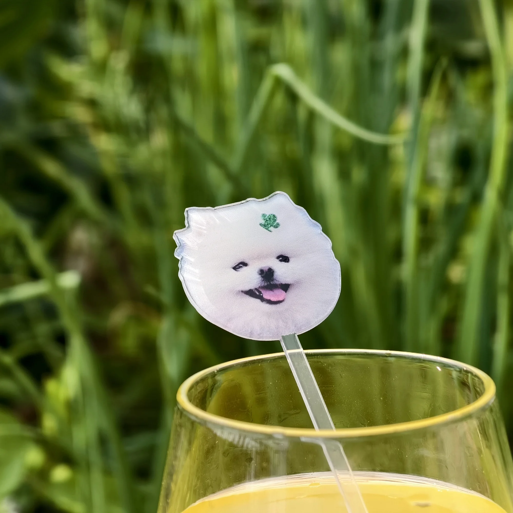 

Custom Pet Drink Stirrer Stick, Acrylic Wedding Pet Stir Sticks, Print YOUR Dog Pet Stir Sticks,Wedding Cocktail Stirrers