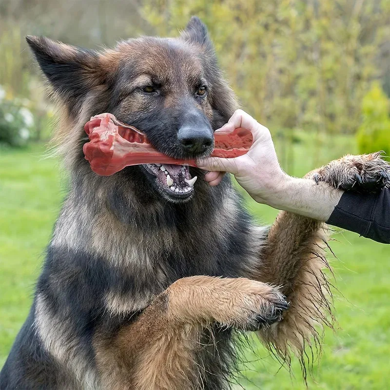

Super Tough Indestructible Dog Chew Toy Durable Natural Rubber Bone for Large Aggressive Chewers Teeth Cleaning