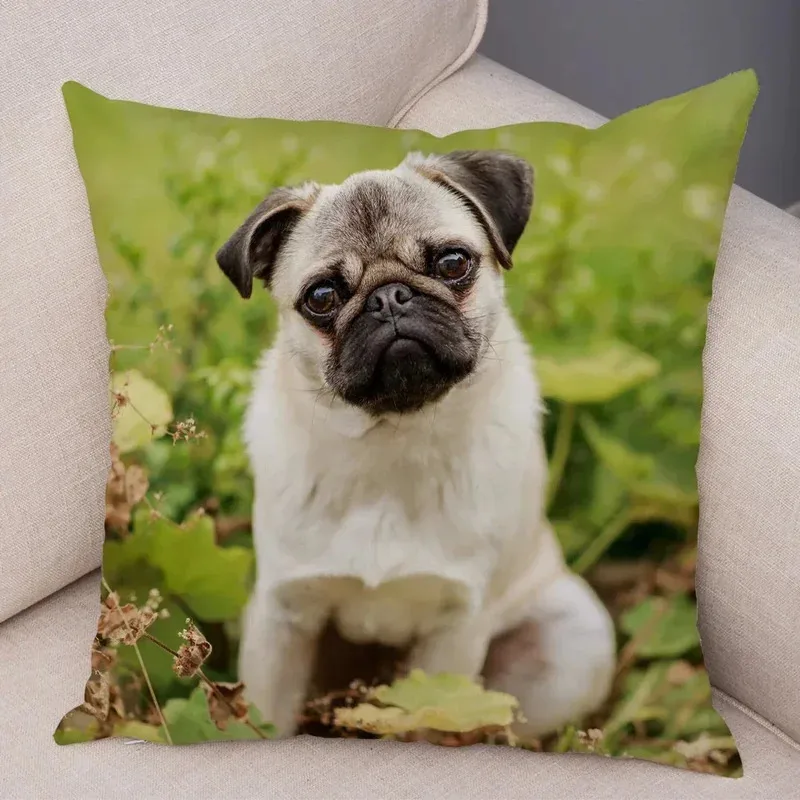 VIKAMA Nordic-Style Adorable Dog Cushion Cover Pug Print Cushion Cover Bedroom Living Room Sofa Decorative Cushion Cover