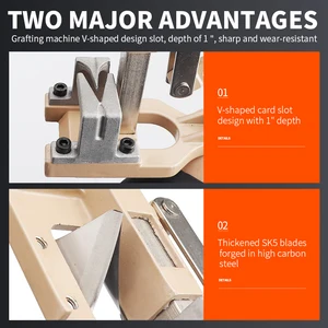 أدوات التطعيم لأشجار الفاكهة أداة حديقة الكرمة القاطع تقليم النبات قطع Floristria مقص الشتلات مقص أعلى 8 مبيعات الخياطة كرمة القاطع - No8