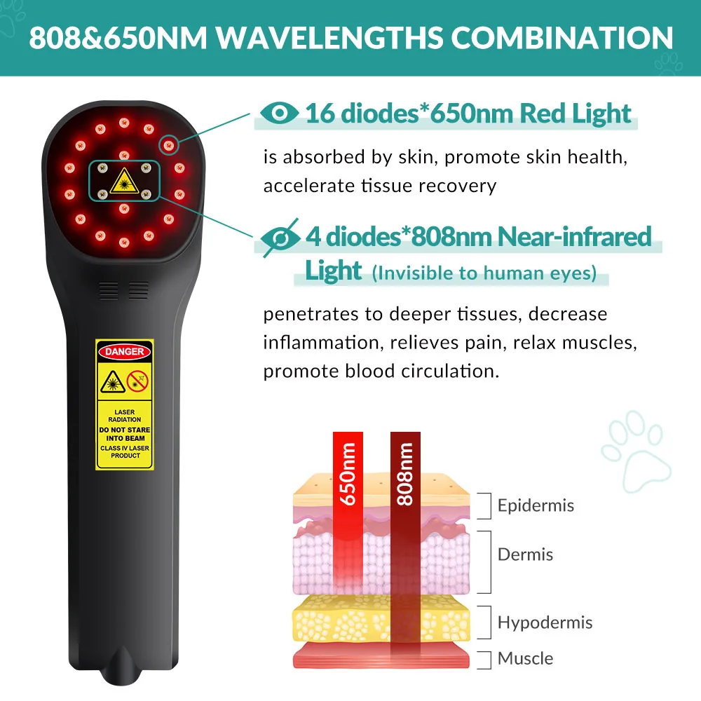 ZJZK Neuropathy And Treatment 650nm 808nm Cold Laser Therapy Device Medical Grade Neuropathy For Lymphedema Plantar Fasciitis