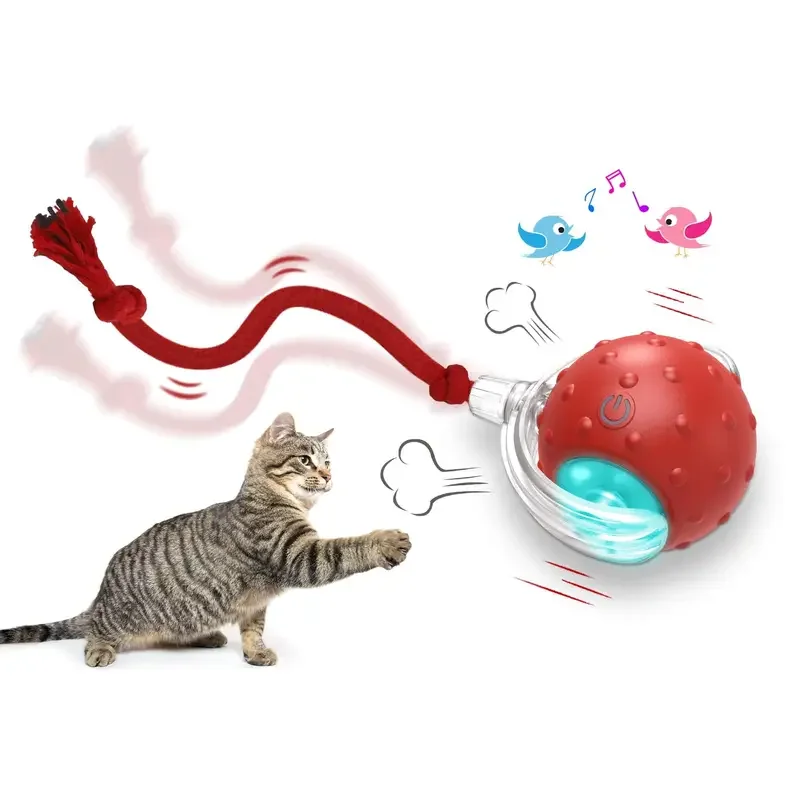 Interactive Cat Toy Ball, Super Drive, Rolling Balls with Bird Chirping Motion Activated Sensor, Pet Kitten Teaser Game Toys