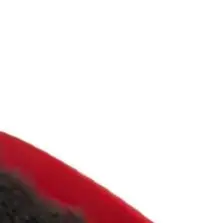 Main Side Brush Fil…