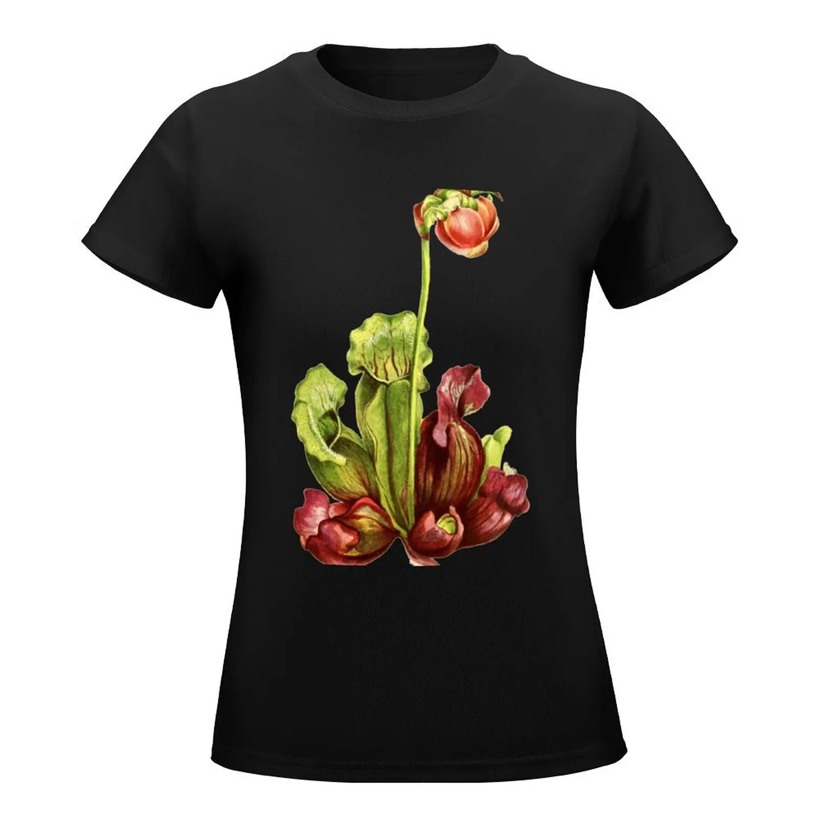 Sarracenia purpurea - The Purple Pitcher Plant T-Shirt lady clothes customs design your own female t-shirts for Women loose fit