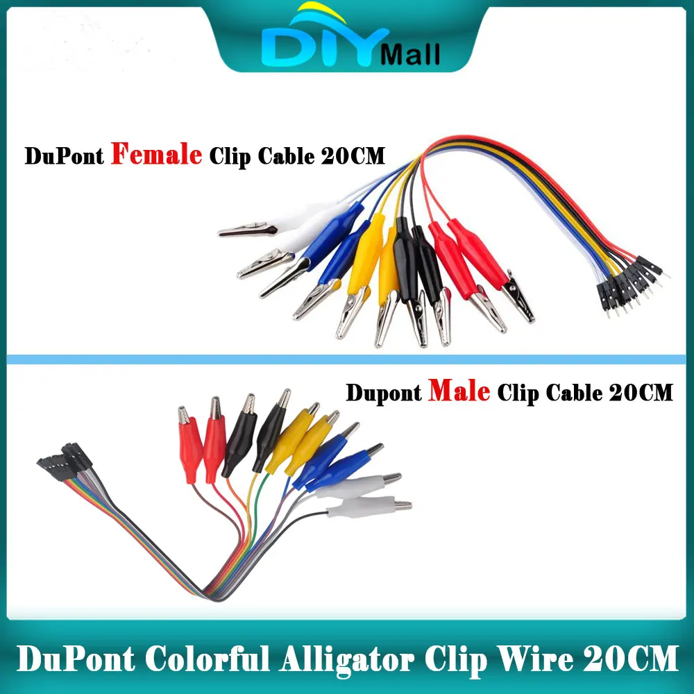 Dupont To Alligator…