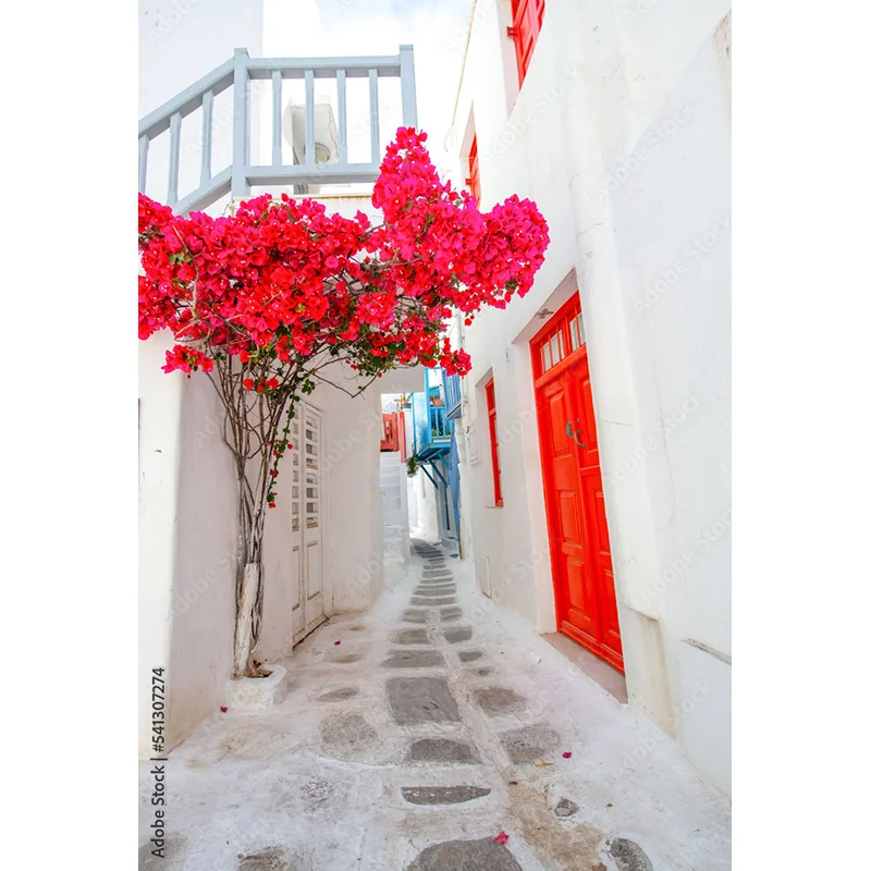 NITREE Flower  Seaside Island Scenery and Green Plants Old House White Pigment Wedding Photography Background Prop LJD-07