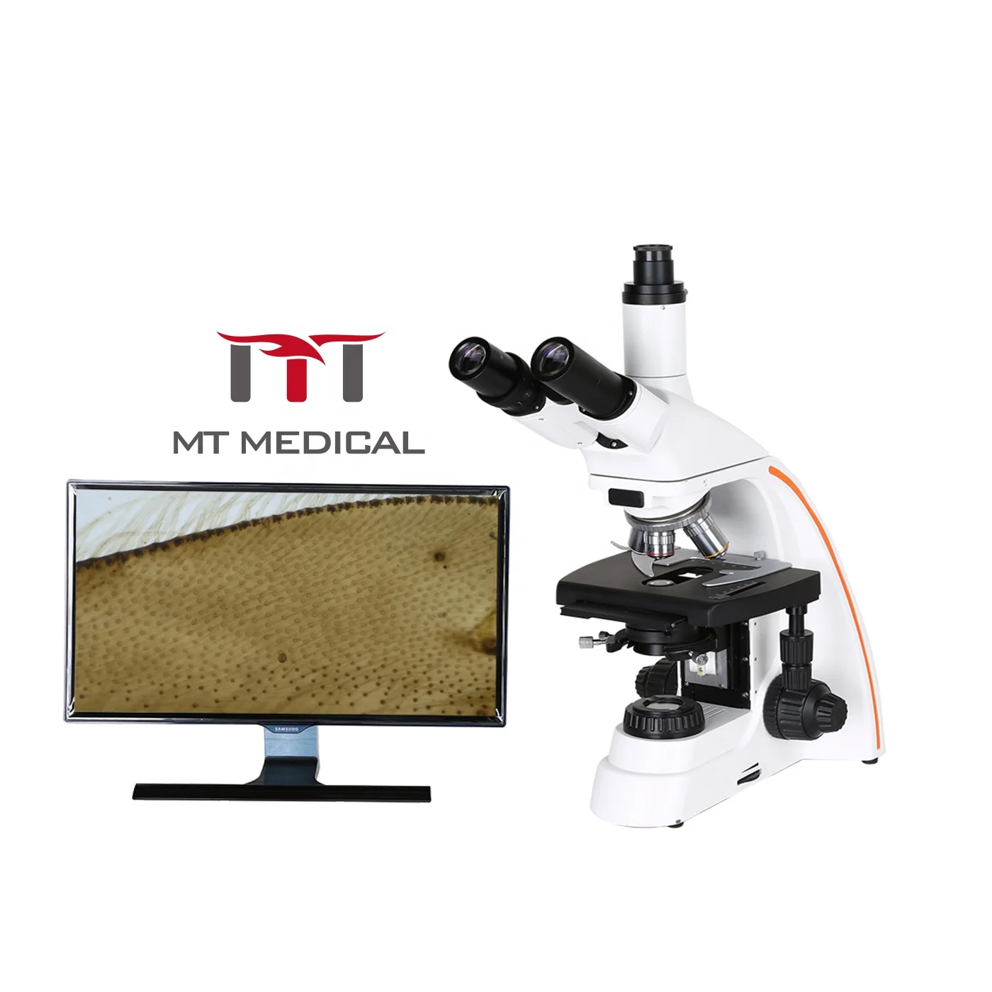 MT MEDICAL Portable Trinocular Compound Fluorescent Microscope Biological Stereoscopic Veterinary Microscope