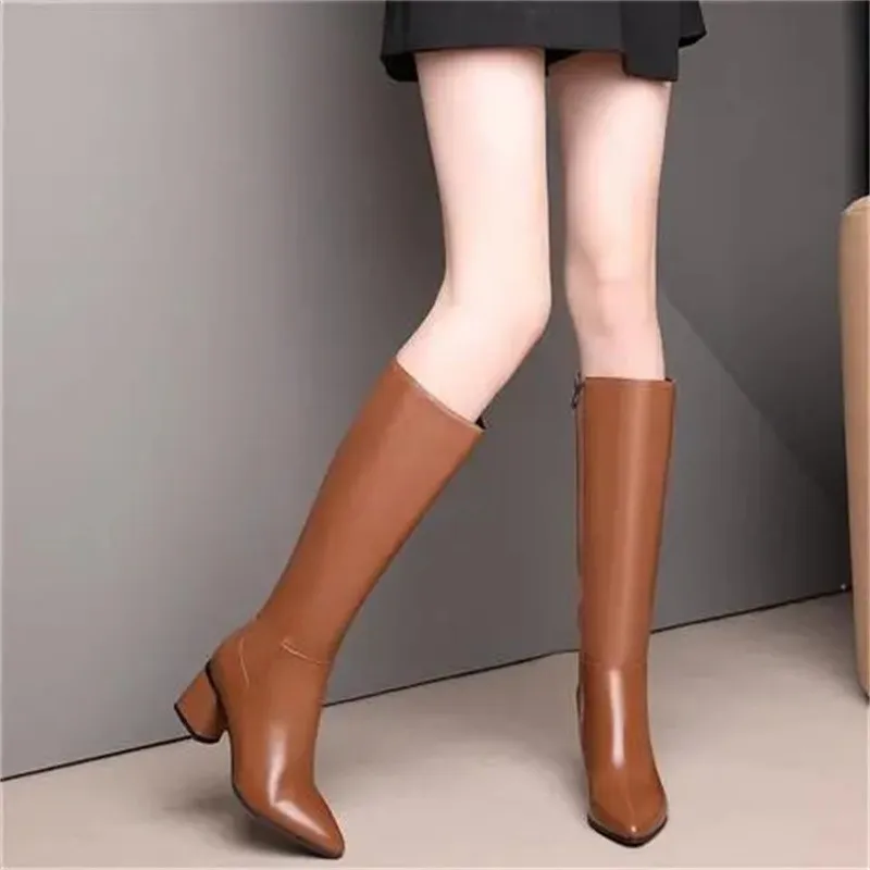 Botas Femininas Women Fashion High Quality Classic Brown Side Zip High Heel Long Boots for Autumn & Winter A1533