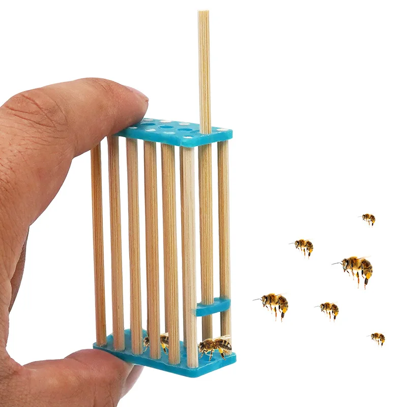 10pcs Bee Nest Bamboo Queen Bee Transport Cage Beekeeping Tools Apiculture Beekeeper Beekeeping queen cage Isolation Honeycomb