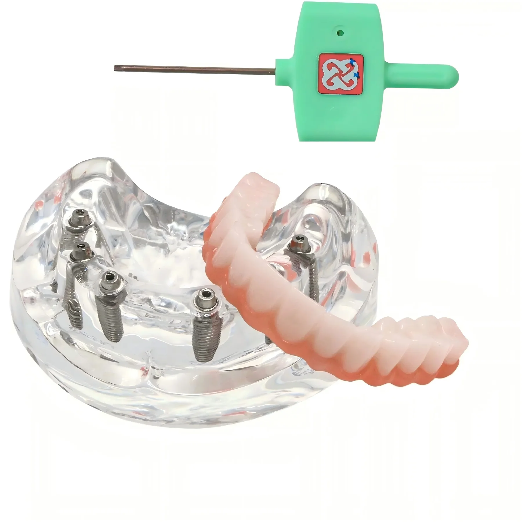 Upper Jaw 6 Implants Teeth Model Clear Acrylic Base All on 6 Dental Implant Restoration Training Model