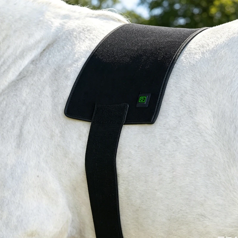 Horse Red Light Therapy Wireless Rechargeable for Equine Deep Tissue Treatment