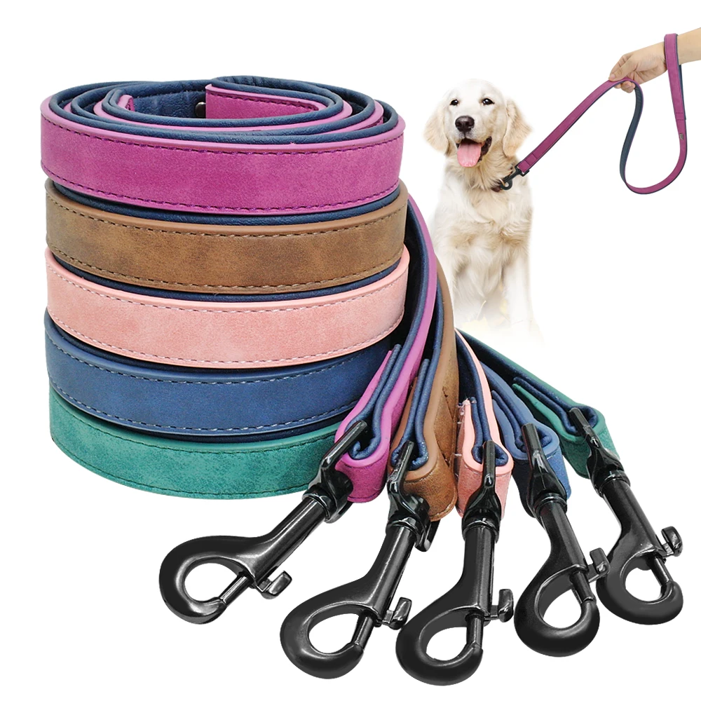 Dog Leash and Harness Set