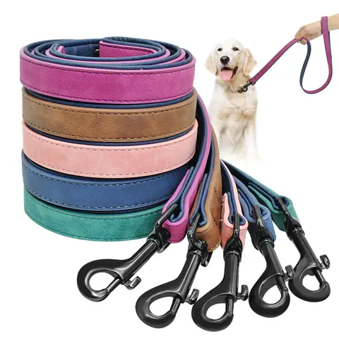 Dog Leash and Harness Set PET ARTIST