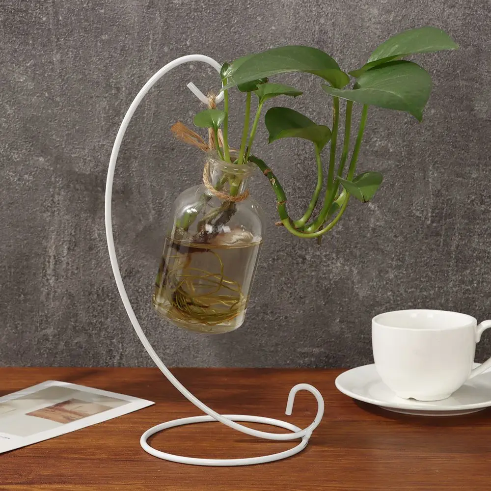Soporte de exhibición de hierro con gancho colgante para botella ecológica de micro paisaje con bola de cristal, adorno y portavelas