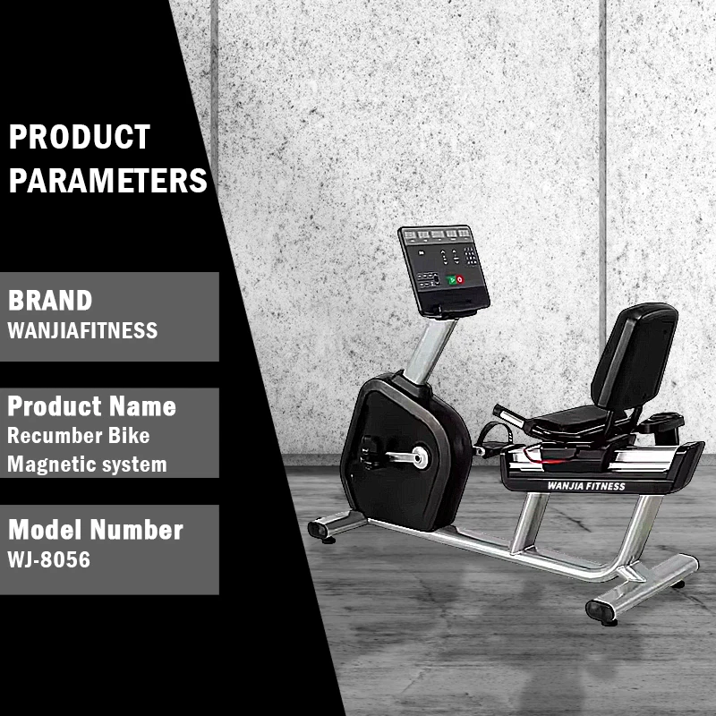 New Arrival Commercial Gym Fitness Equipment Cardio Training Recumber Bike Magnetic System With Warranty