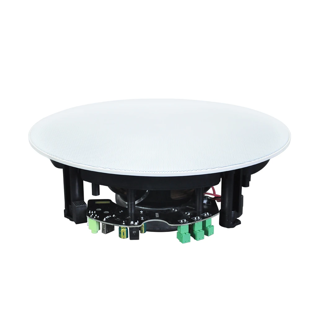 

BTF54 8-inch 4 * 50w Smart Home Background Music System Home/Hotel/Store with Magnetic Grill Bluetooth Active Ceiling Speaker