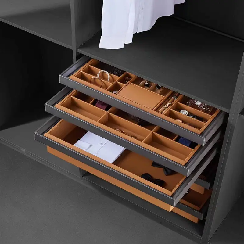 رف السراويل، إطار تلسكوبي قابل للسحب، خزانة الملابس، سلة سحب منزلية، رف السراويل من نوع الدرج، مجوهرات جلدية مثبتة على الجانب #4