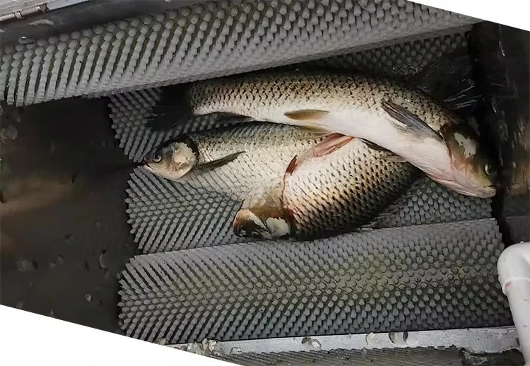 900KG/H Commercial Fish Scale Remover Scraper Machine Scaler High Efficiency Electric Fish Scaling Machine