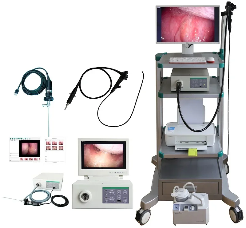 Veterinary Video Ent Electronic Video Endoscopy Machine Gastroscope Equipment Endoscope System