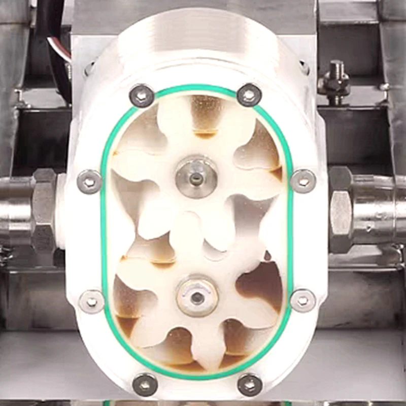 Imagem -05 - Bomba de Mel para Máquina de Enchimento Líquido Viscoso Pasta de Gergelim Manteiga de Amendoim Bomba de Engrenagem 510l por Min