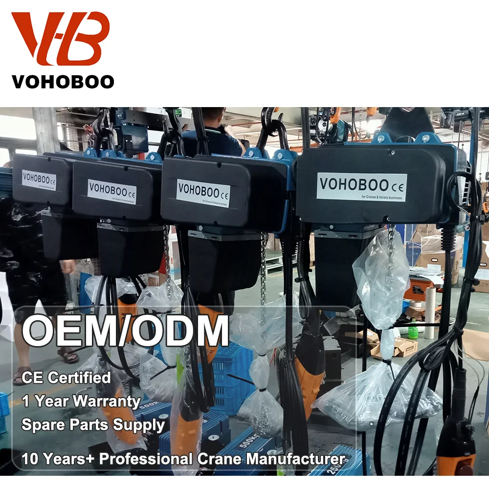 High Quality New 5 Ton Movable Electric Chain Hoist with Motorized Trolley European Type Lift for Hotels and Other Industries