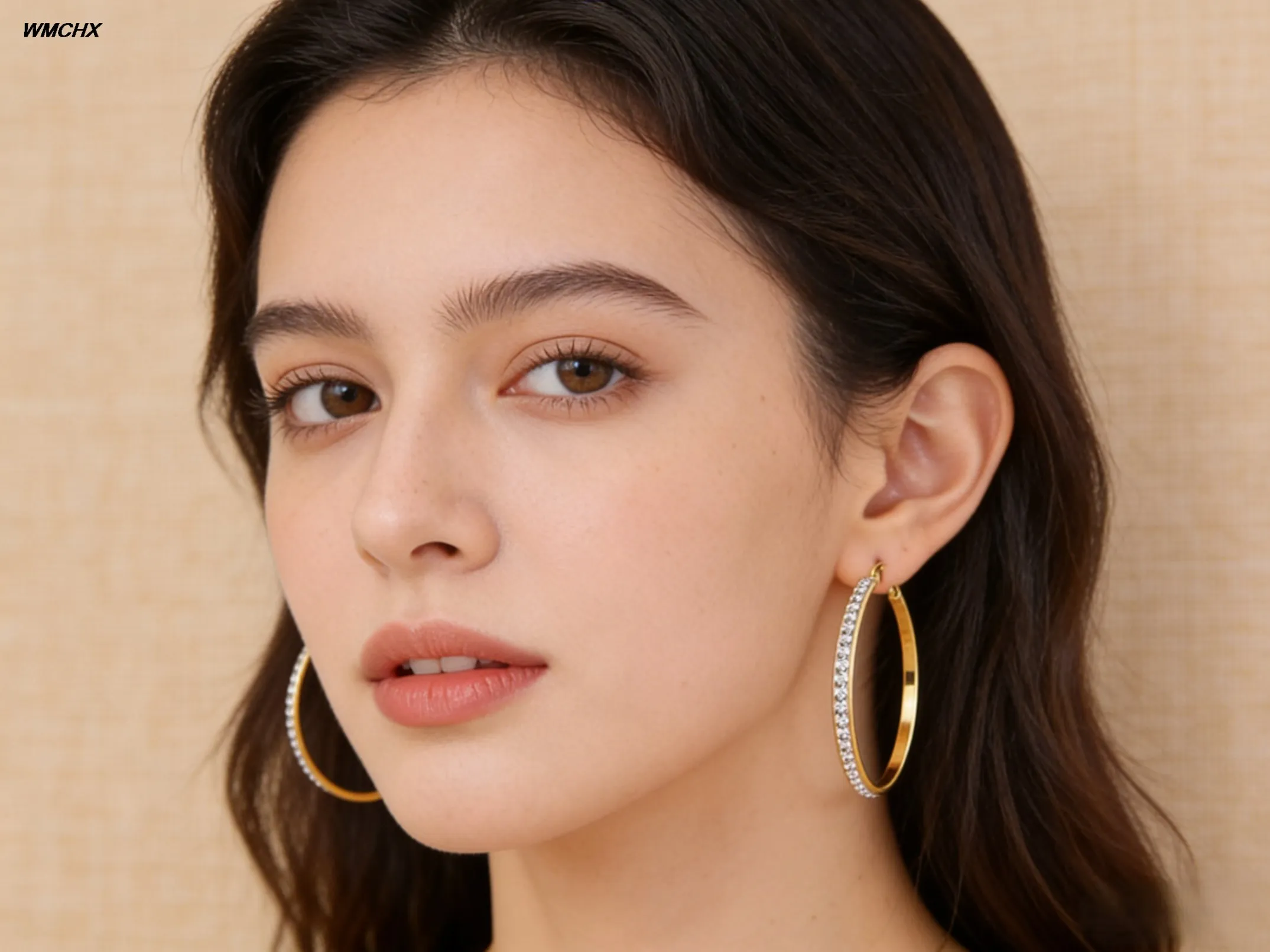 WMCHX Crystal Stainless Steel Sliver Hoop Earrings Big Round Circle Rock Punk Fully-Jewelled For Women Girls Party