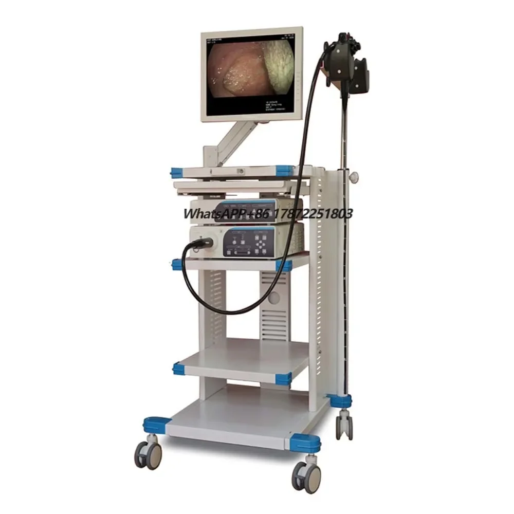 New Cheap Medical Gastroscope And Colonoscope  Endoscope Machine Gastroscopy Video Endoscopy System Laparoscope