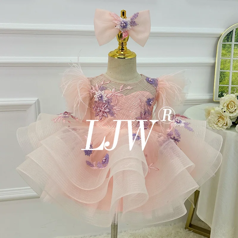 

LJW Unique and elegant girls' dress, hand embroidered birthday party dress, toddler baby girl first year party dress