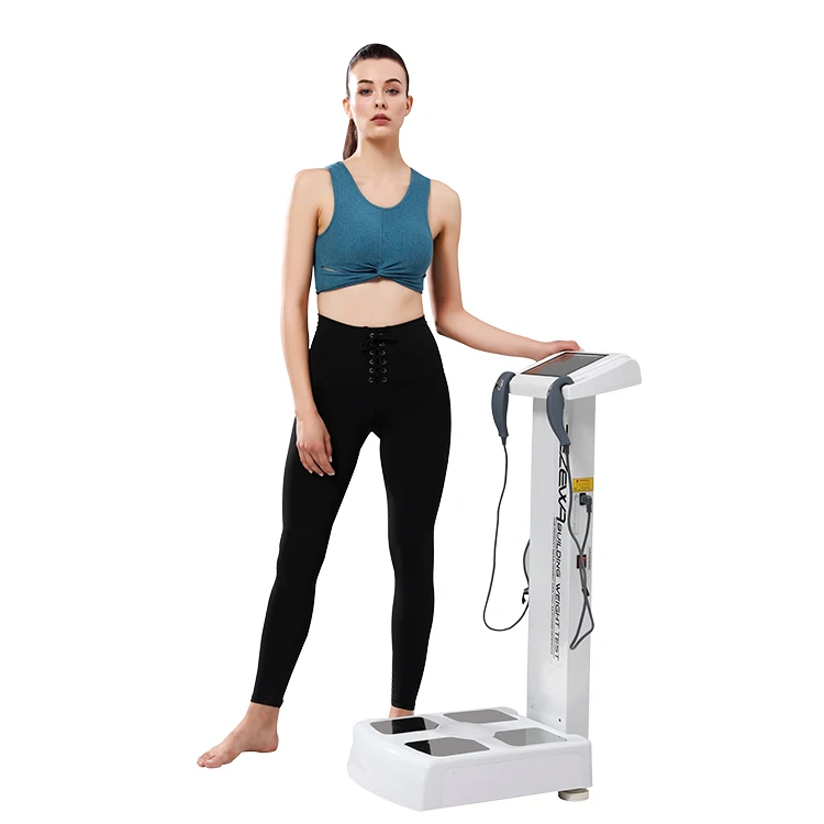 

2025 Professional Human 230 Body Composition Fat Analyzer With Printer