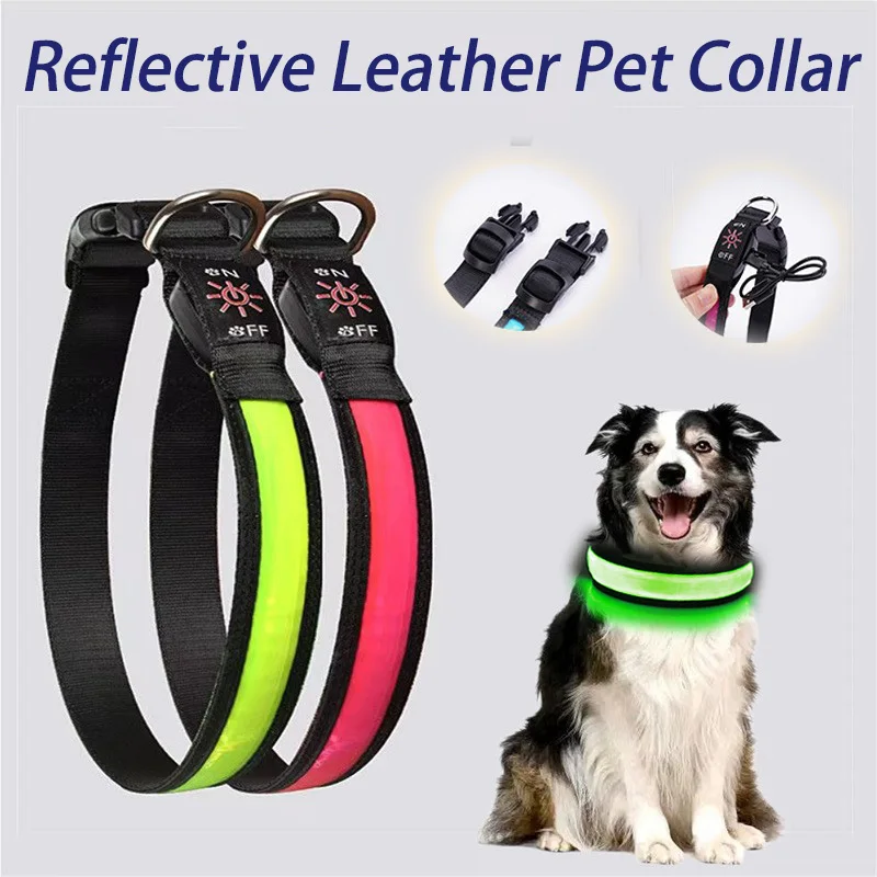 #19 New LED Puppy Collars Arrivals