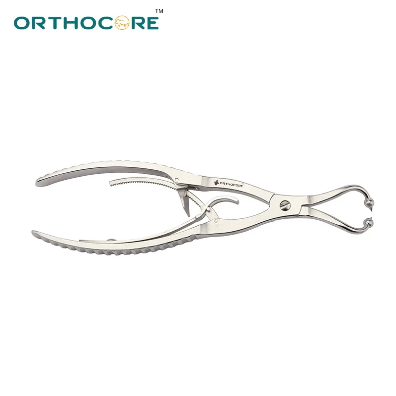 

AO Soft Rachet Reduction Forceps with Ball Heads Veterinary Supplie Surgical Instruments