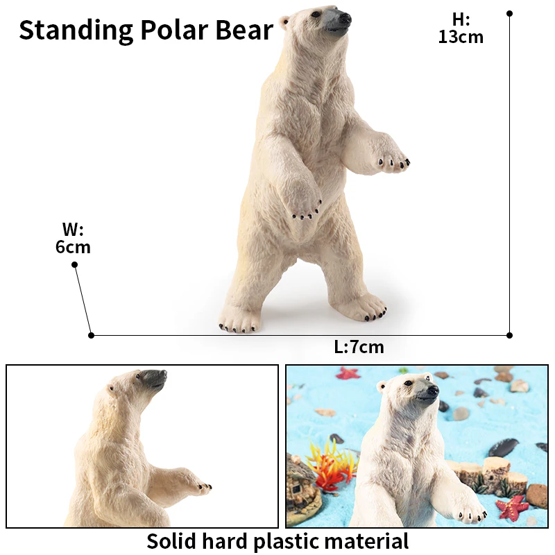 Oenux Arctic South Pole Animals Simulation Polar Bear Ursus