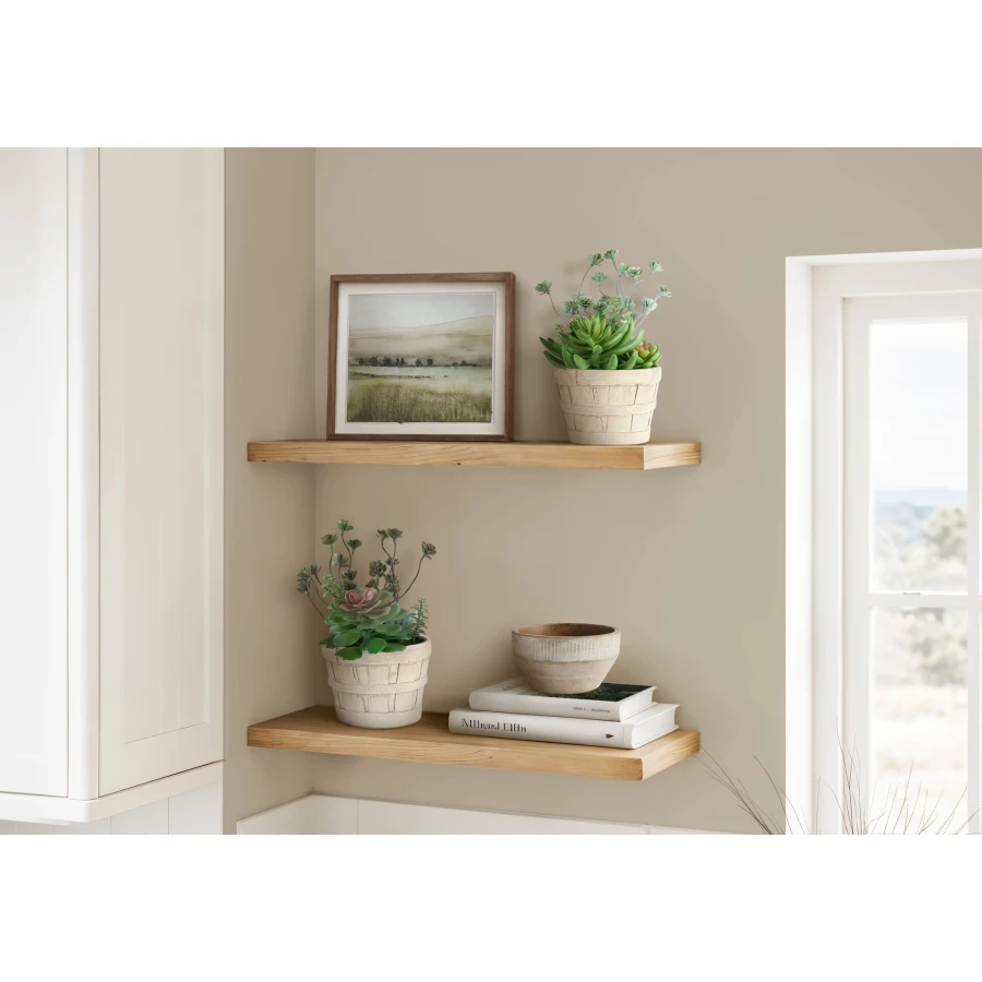 

Artificial Plant Set of 2, 9 Tall Succulent for Table Use, Beige Cement Pots, Contemporary Modern Style