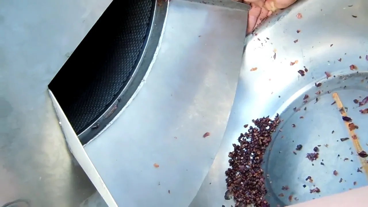 Picture 6: Strawberry fruit seeding machine remover
