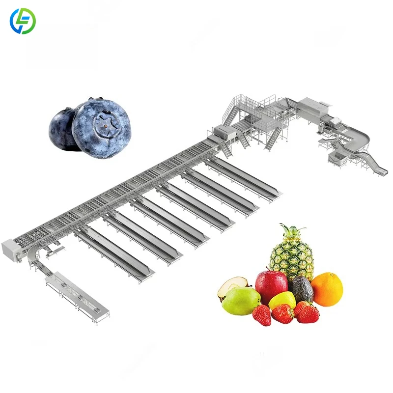Factory Price Fresh Corn Onion Grader And Size Sorting Machine Avocado Sorting Machine Fruit Weight Sorting Machines Customized