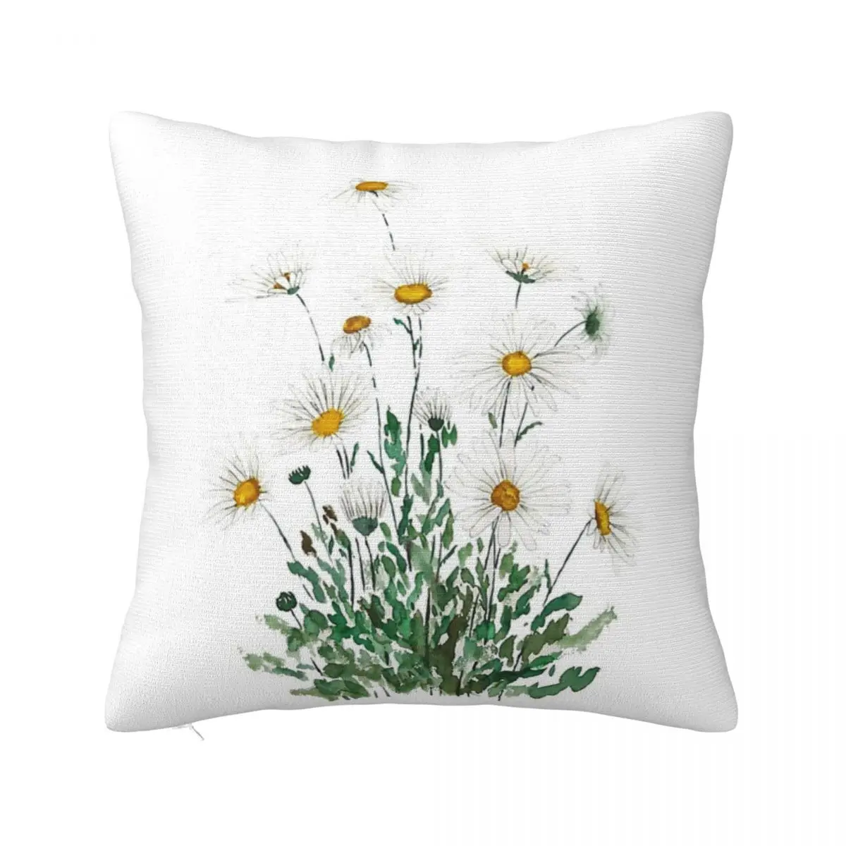 

Hand Painted White Margaret Daisy 1 Cushion Cushions Cover Cushion Cover 45X45 Pillow Case Pillow Cover