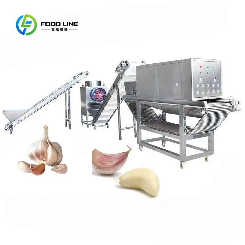 Customized Commercial Garlic Processing Equipment with Automatic Feeding Separator and Dry Peeling System Garlic Peeling Machine