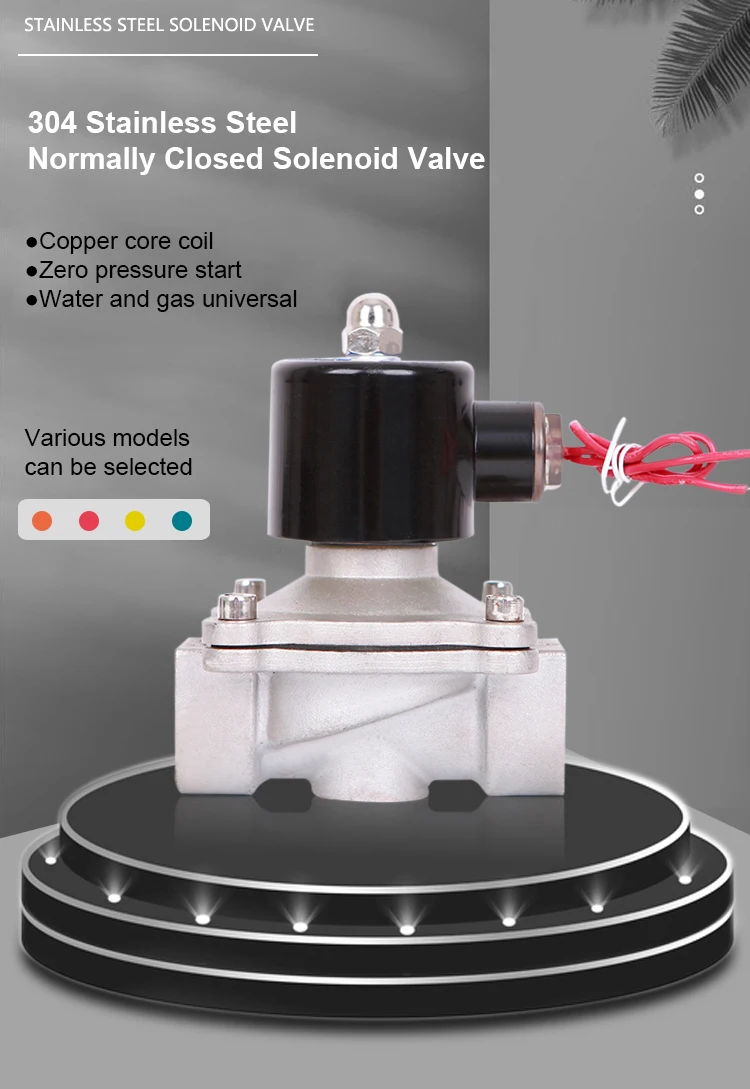 Électrovanne DN15 DN20 DN25 DN50 Electric Solenoid Valves Water Normally Closed 2-way Stainless Steel 1/2\ Eau et vapeur — détail 2