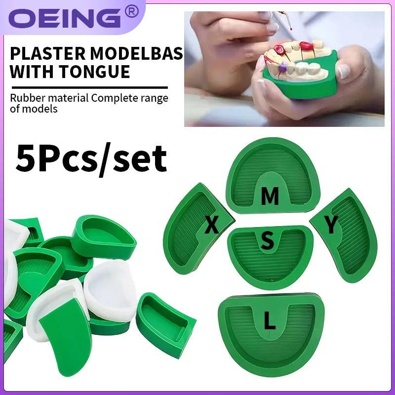5Pcs Dental Silicone Plaster Model White Green Rubber Base Mould Former Base Tongue Dental Lab Tools Gypsum Carving