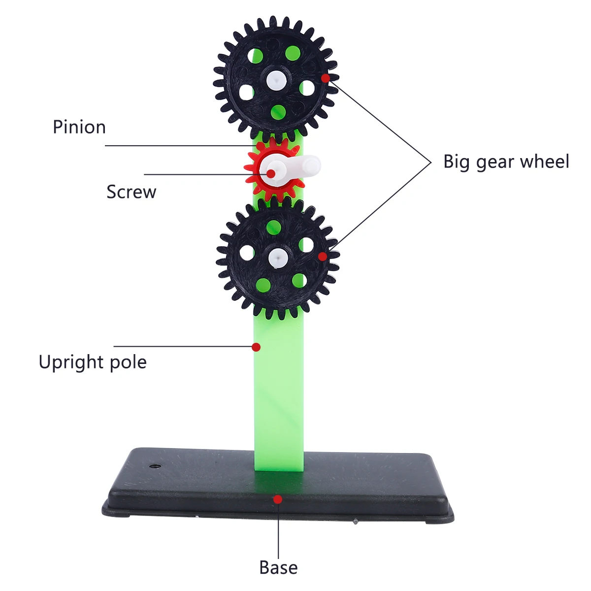1 Set Gear Set Experimental Kit Stem Education Science Teaching Apparatus Physical Equipment Environmental Protection Material