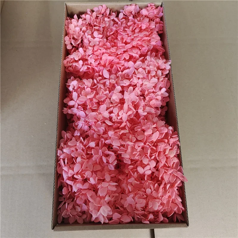 A Grade Anna Hydrangea 100G Eternal Flowers High Quality Real Flowers Natural Flower Material Anna Petals Home Decoration