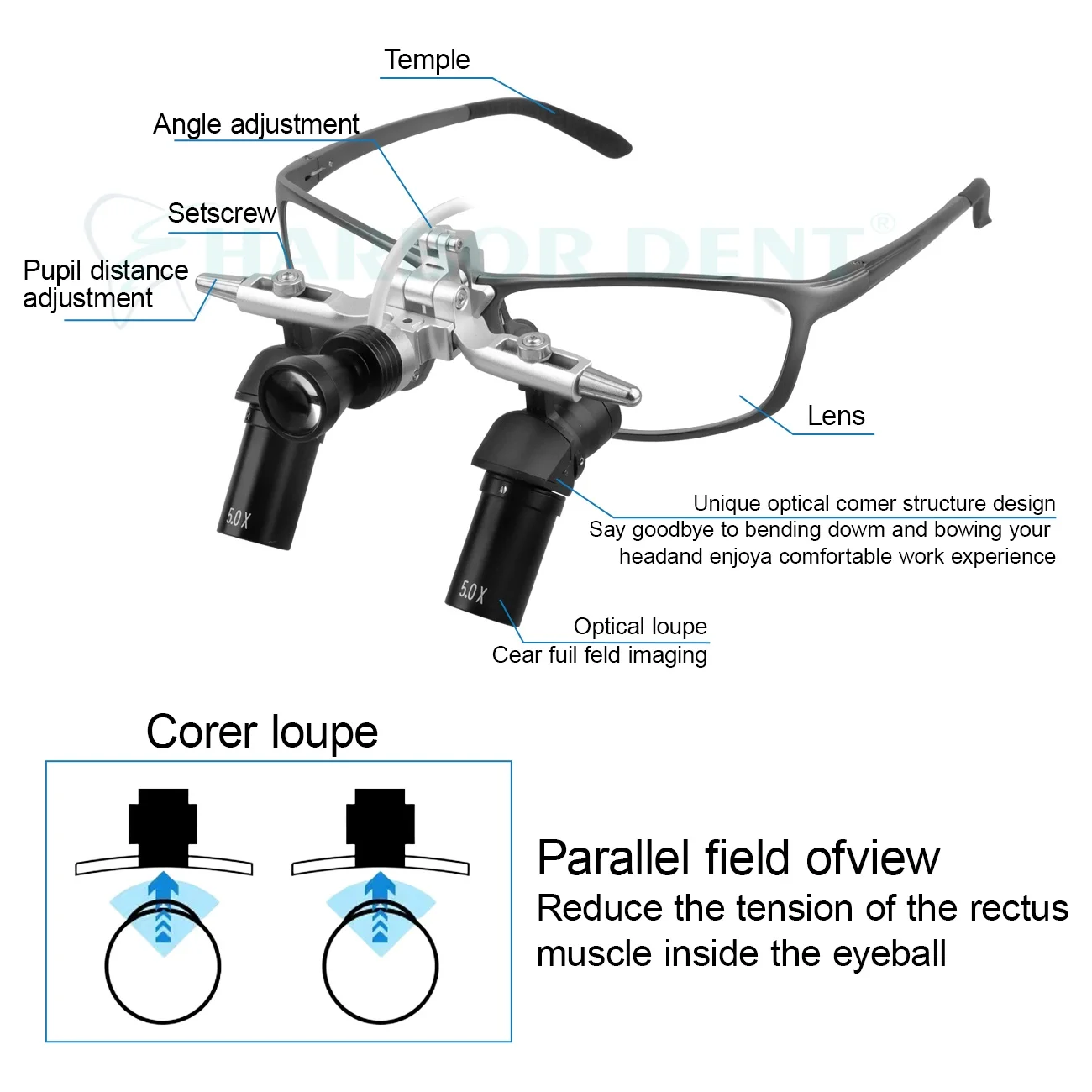طب الأسنان 48 °   Ergo Loupes 5X نظارات مكبرة مجهر مع أدوات جراحية لطب الأسنان بقدرة 5 وات LED