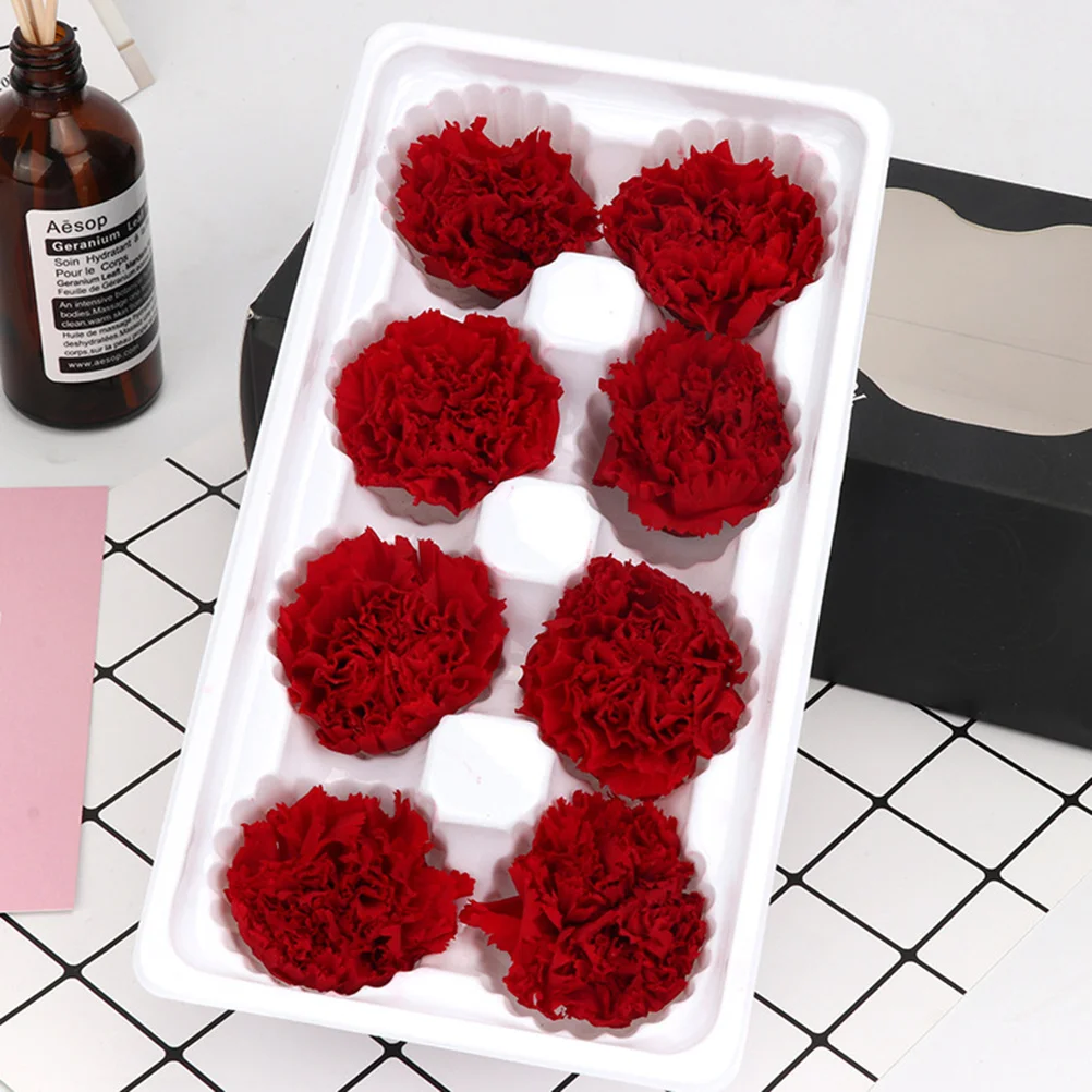 قرنفل أبدي زهرة مجففة طبيعية رومانسية للأبد هدايا تتفتح لعيد الحب وعيد الأم وعيد الميلاد #4