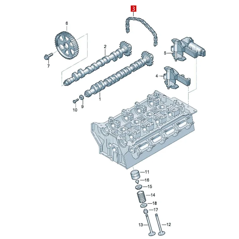 A4 A6 A6 (imported) TT A8 A4 (imported) RS 6 A6L S4 RS 4 camshaft chain timing chain  058109229B/058 109 229 B