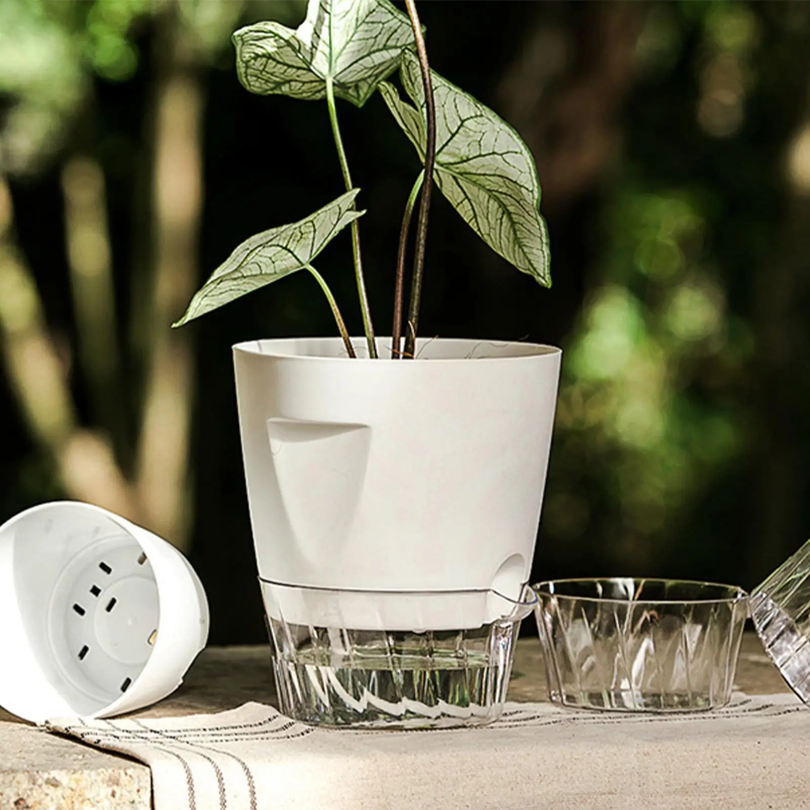 Self Watering Pots 5 Pieces Grow Box Nursery Pots with Water Level Indicator for Indoor Living Room Balcony Patio Deck Porch